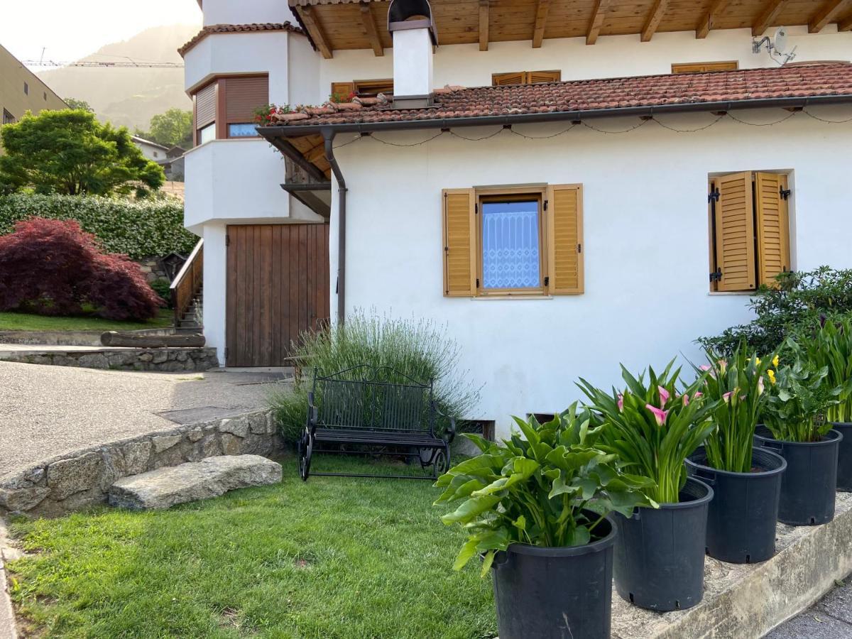 Ferienwohnungen Kaltenbachhof - Urlaub Auf Dem Biobauernhof Parcines Exterior photo